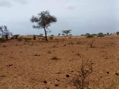 Terrain Agricole de 10 Ha vers Thiéppe – Kébé