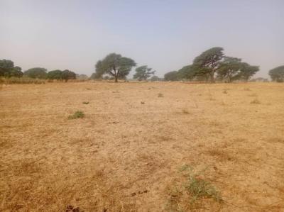 Terrain Agricole de 1,40 Hectare vers Notto Diobas