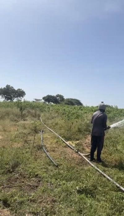 Terrains à vendre a lompoul champ de 2ha