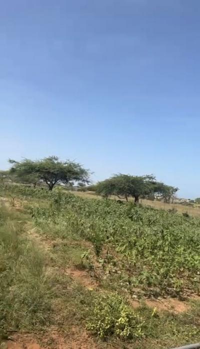 Terrains à vendre a lompoul champ de 2ha