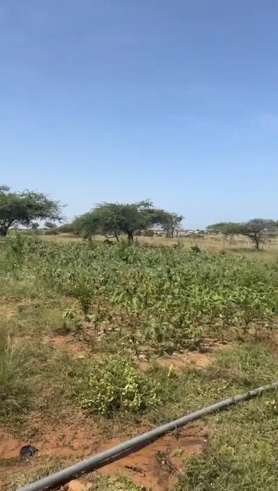 Terrains à vendre a lompoul champ de 2ha