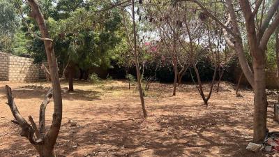 Terrain 1004 mètres carrés à vendre à Somone S