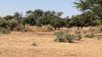 Terrain 225 mètres carrés à vendre à Malicound