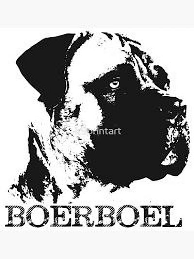 Boerbull Boerboel chiot femelle à Gr.Mbao/Rufisqu