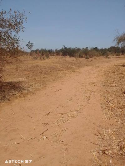 Terrain 600 mètres carrés à vendre à Sindia SN