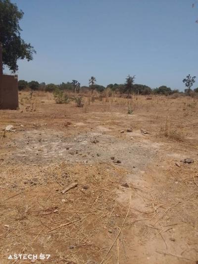 Terrain 600 mètres carrés à vendre à Sindia SN