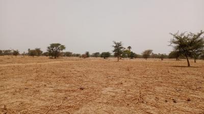 Terrain 10400 mètres carrés à vendre à Simal S