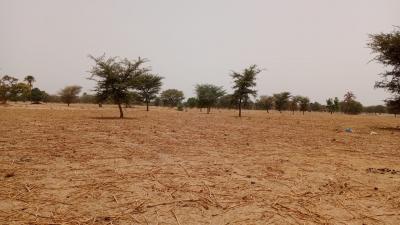 Terrain 10400 mètres carrés à vendre à Simal S