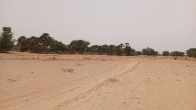 Terrain 4600 mètres carrés à vendre à Simal Se
