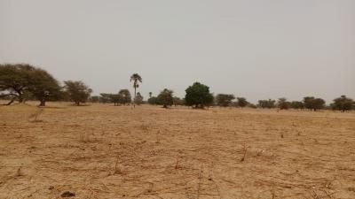 Terrain 4600 mètres carrés à vendre à Simal Se