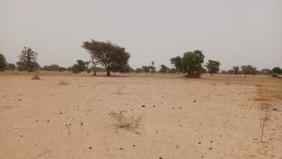 Terrain 4600 mètres carrés à vendre à Simal Se