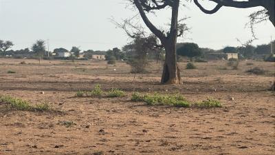 Terrains 300 mètres carrés à vendre à Malicoun