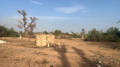 Terrains 300 mètres carrés à vendre à Malicoun