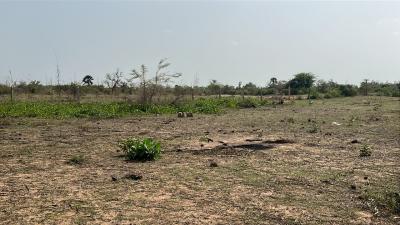 Terrains 300 mètres carrés à vendre à Somone s