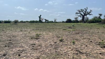 Terrains 300 mètres carrés à vendre à Somone s