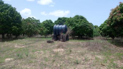 Terrain de 1 hectare à vendre à Mbour Sénégal