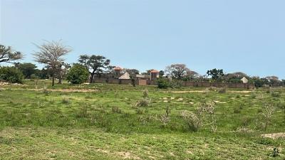 Terrain 300 mètres carrés à vendre à Mbour Sé