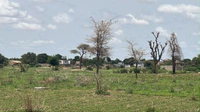 Terrain 300 mètres carrés à vendre à Mbour Sé