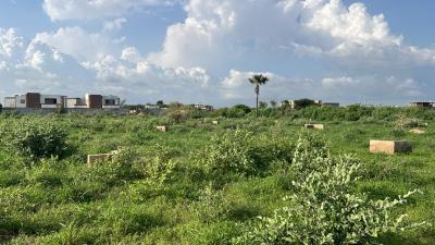 Terrains 250 mètres carrés à vendre à Saly Sé