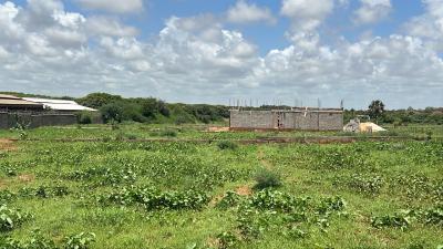 Terrains 150 mètres carrés  vendre à toubab dia
