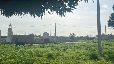 Terrain 225m2 à vendre à Keur Youngar Sénégal