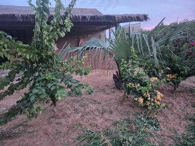 Terrain agricole à vendre à Mbissel Sénégal