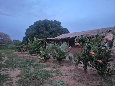 Terrain agricole à vendre à Mbissel Sénégal