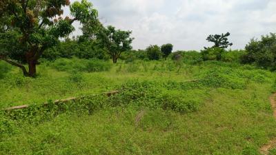 Terrain 450 mètres carrés à vendre à Sindia Sn