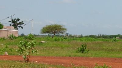 Terrain 600 mètres carrés à vendre à Saly Sén