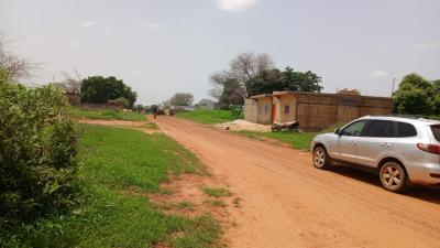 Terrains 300 mètres carrés à vendre à Malicoun