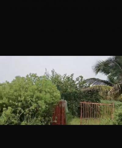 Champ de 1 hectare à vendre à Ndianda senegal