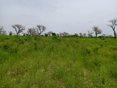2,18 hectares de Terre Agricole vers Ndiaganiao  