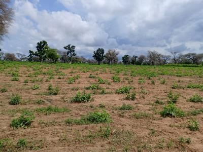 2,30 hectares de Terre Agricole vers Ndoucoumane