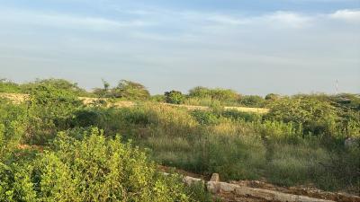 Terrain 300 mètres carrés à vendre à Ndayane Sen