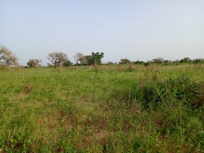 Terre Agricole de 7622 m² vers Méouane - Tivaouane
