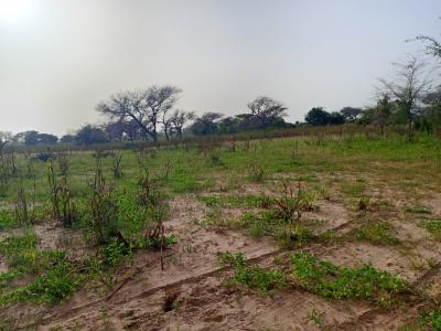 Terre Agricole de 7622 m² vers Méouane - Tivaouane