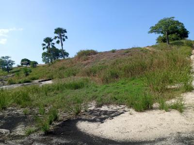 Terrain Agricole de 4004 m²  vers Darou Khoudoss -