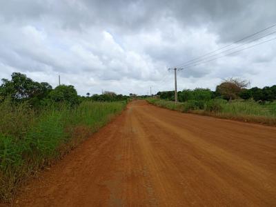 Terrain de 5395 m² vers  Taiba Ndiaye