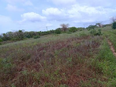 Terrain de 5395 m² vers  Taiba Ndiaye