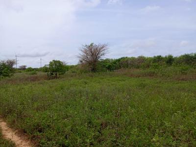 Terrain de 5395 m² vers  Taiba Ndiaye