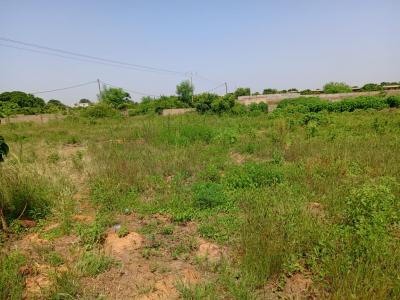 Bail de 1 hectare à  Diamniadio