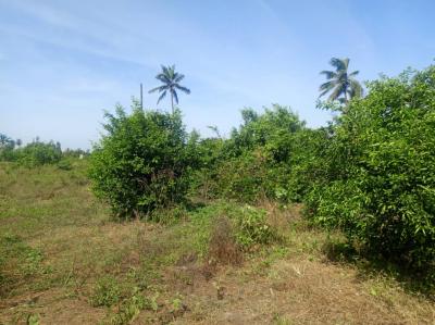 Verger Fruitiers de 3912 m² vers Mboro