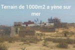 Terrain de 1000m2 a yène  Terrain de 1000m2 a yène