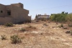 Terrain de 300m2 a toubab dialaw  Terrain de 300m2 a toubab dialaw