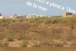 Terrain de 2000m2 a yène  Terrain de 2000m2 a yène