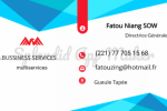 CARTES DE VISITE PROFESSIONNELLES CARTES DE VISITE PROFESSIONNELLES