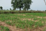 Terrain de 10hectares à vendre Terrain de 10hectares à vendre