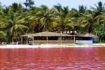 Des terrains résidentielle a lac rose 