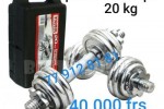 Paire de biceps neuve 20 kg total  Paire de biceps neuve 20 kg total