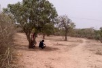 Cession d'un Verger de 2593 m² à Daga - Tivaouan Cession d'un Verger de 2593 m² à Daga - Tivaouan
